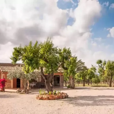 Villa Son Morro-villa With Private Pool Free Wifi *